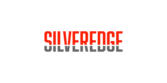 SilverEdge Government Solutions