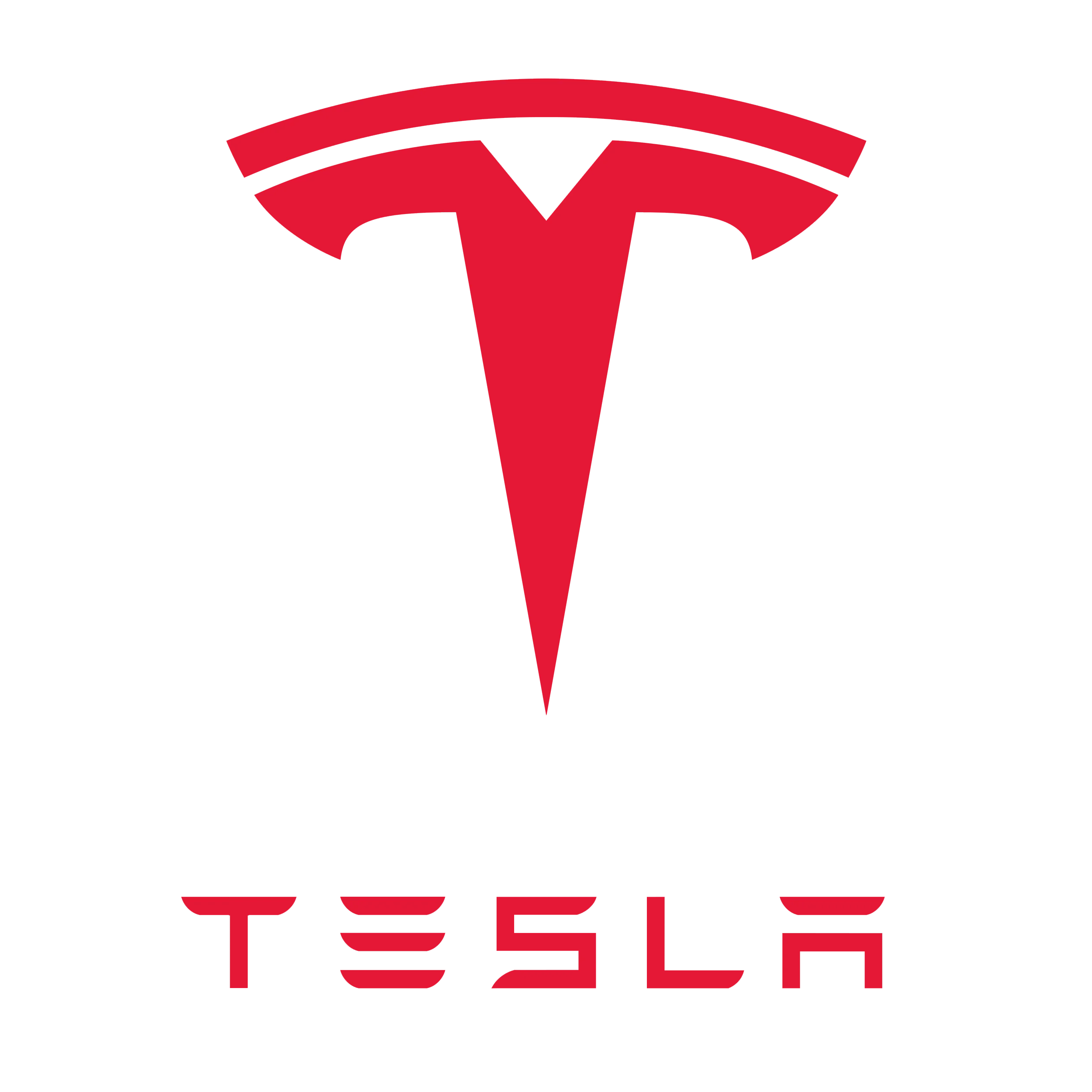 Tesla, Inc.
